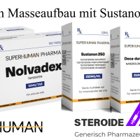 10 Wochen Masseaufbau mit Sustanon/Deca-SuperHuman Pharma