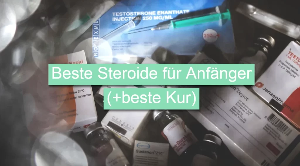 Beste Steroide für Anfänger (+beste Kur)