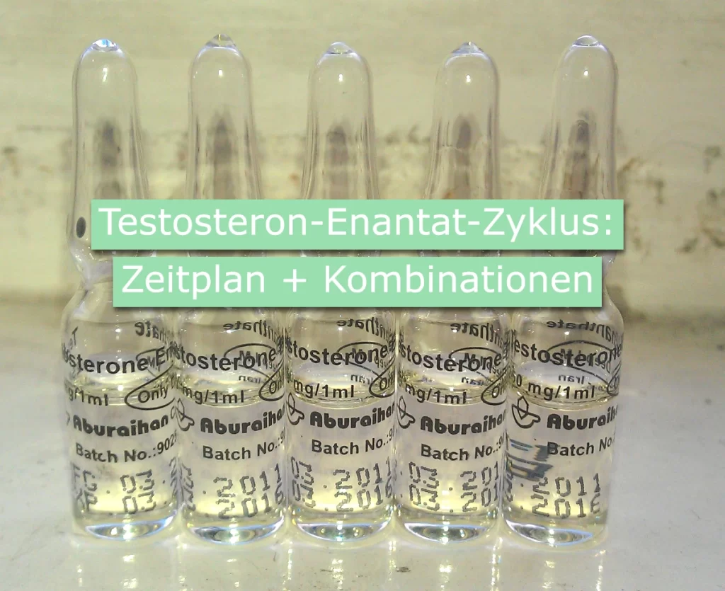 Testosteron-Enantat-Zyklus: Zeitplan + Kombinationen