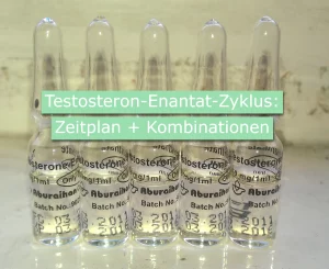 Testosteron-Enantat-Zyklus: Zeitplan + Kombinationen