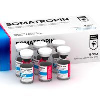 HGH Somatropin 100IU Hilma Biocare (Pulver)