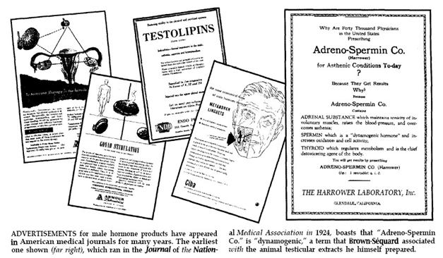 Die Geschichte Des Synthetischen Testosterons 2 advertisement for male hormone