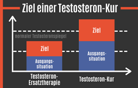 zeil einer testosteron kur 