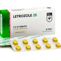 LETROZOLE 25 Hilma Biocare 30 Tabletten (2.5mg/tab)