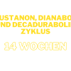 sustanon und anadrol Zyklus 4