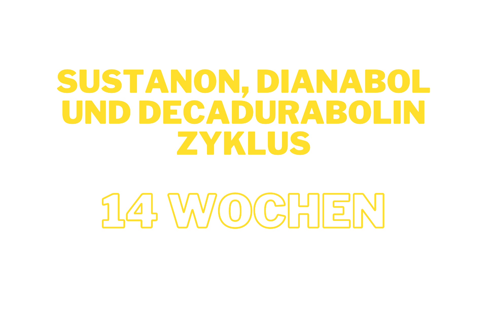 sustanon und anadrol Zyklus 4